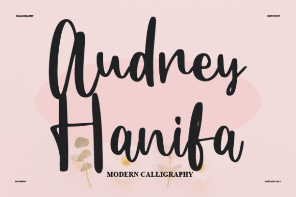 Audrey Hanifa Font for Creative Campaigns