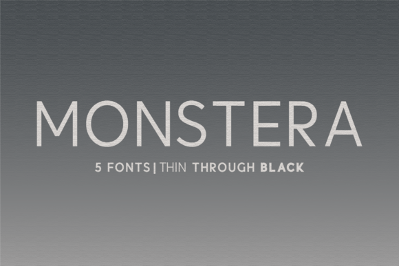 Monstera Font for Web Design